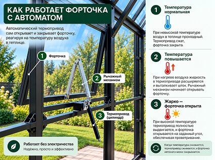 Сколько форточек должно быть в теплице и почему они должны быть автоматическими?