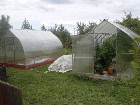 Эдуард. Новгородский район. Верхний перелесок.