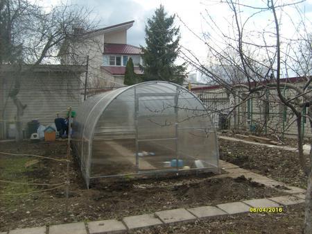 Саратовская область, Марксовский р-н, Подлесное