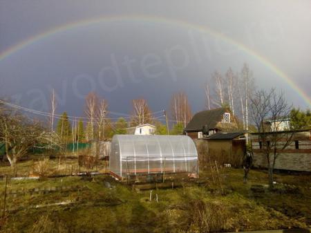 Галина Сергеевна, снт"Волна" Кобрино, Санкт-Петербург 