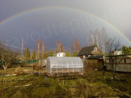 Галина Сергеевна, снт"Волна" Кобрино, Санкт-Петербург
