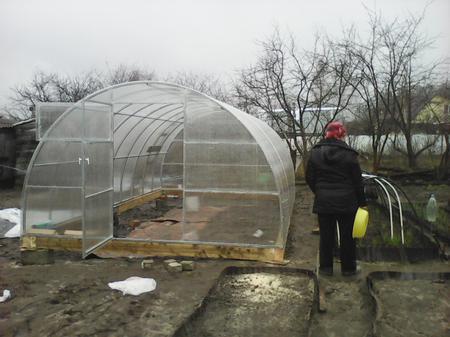 Нижегородская обл., Елена Викторовна