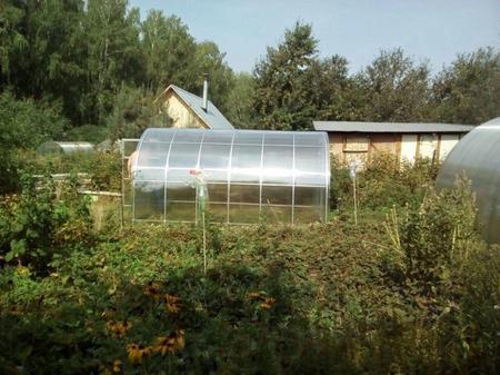 Александр Николаевич г.Казань п.Константиновка