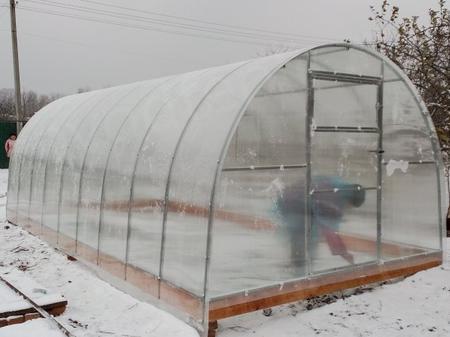 Любовь Александровна, СНТ "Колос"