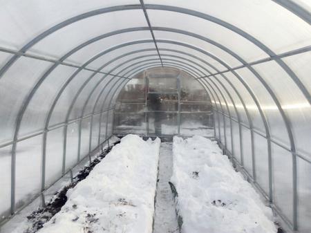 Силкин Борис Сергеевич, Кронштадт, Санкт-Петербург