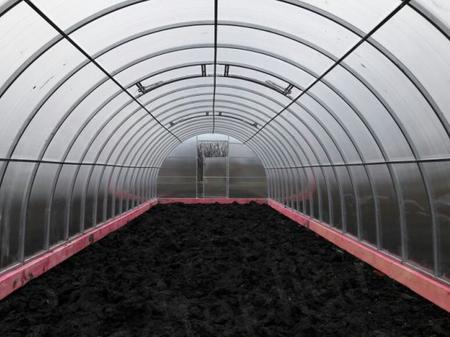 Светлана, станица Анастасиевская, Краснодарский край