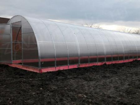 Светлана, станица Анастасиевская, Краснодарский край