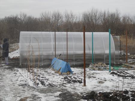 Калашникова Наталья, г. Калитва, Ростовская область