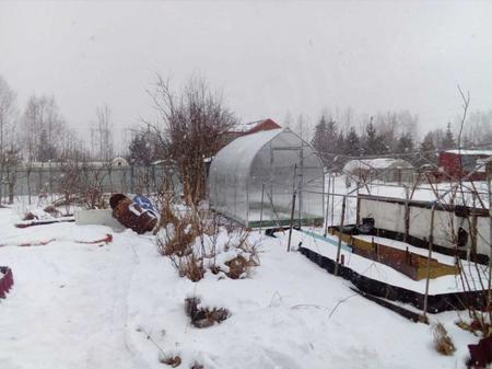 Николай Фёдорович, Трубников Бор, Ленинградская область