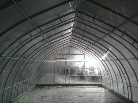 Людмила Егоровна, г. Санкт-Петербург