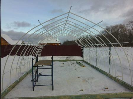 Людмила Егоровна, г. Санкт-Петербург