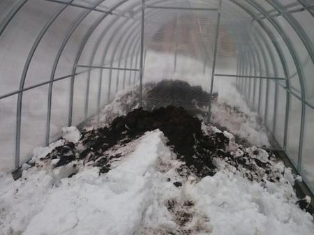 Татьяна Николаевна, п.Рощино, Ленинградская область