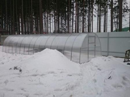 Татьяна Николаевна, п.Рощино, Ленинградская область