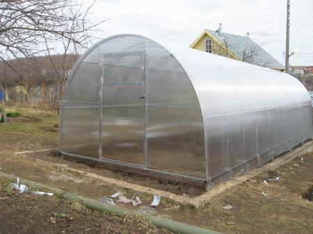 Жулина И.В., Нижегородская область, Богородский район