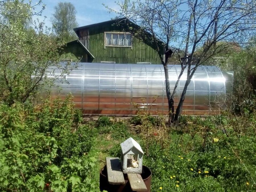 Нина Ивановна, г. Тула, СНТ Мыза-1
