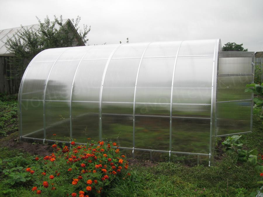 Люция Альфредовна. город Казань - с.о Химик