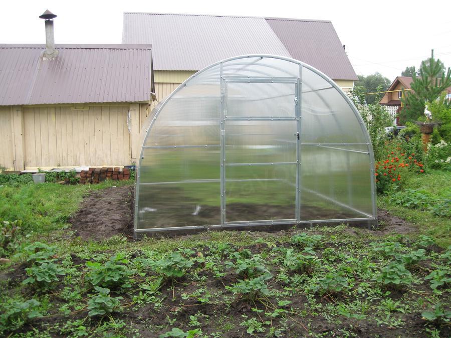 Люция Альфредовна. город Казань - с.о Химик