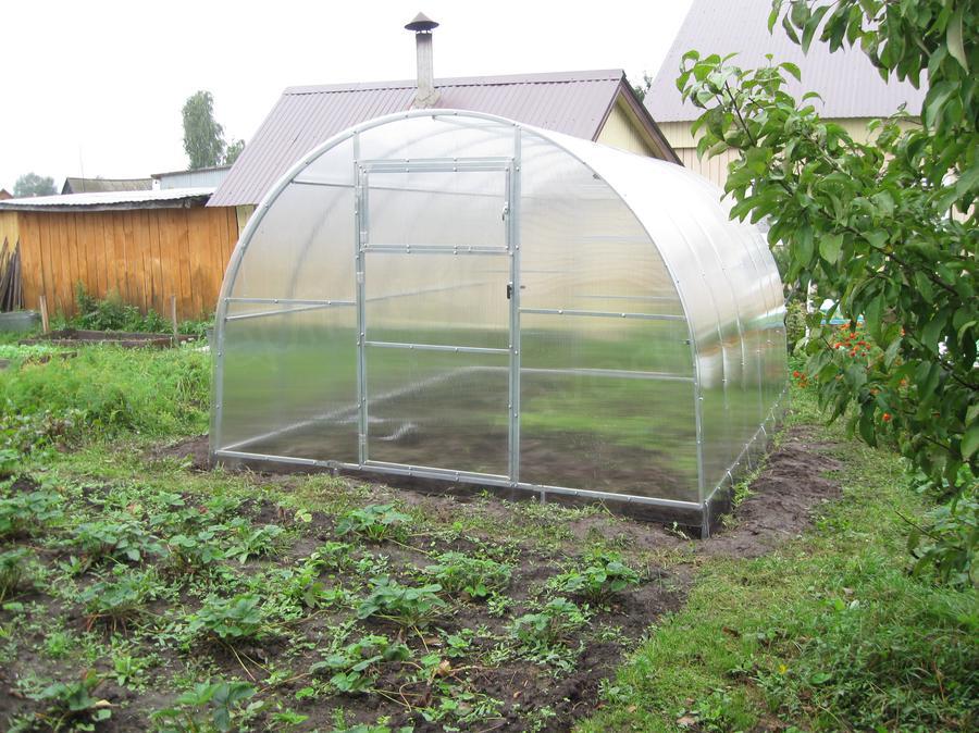 Люция Альфредовна. город Казань - с.о Химик