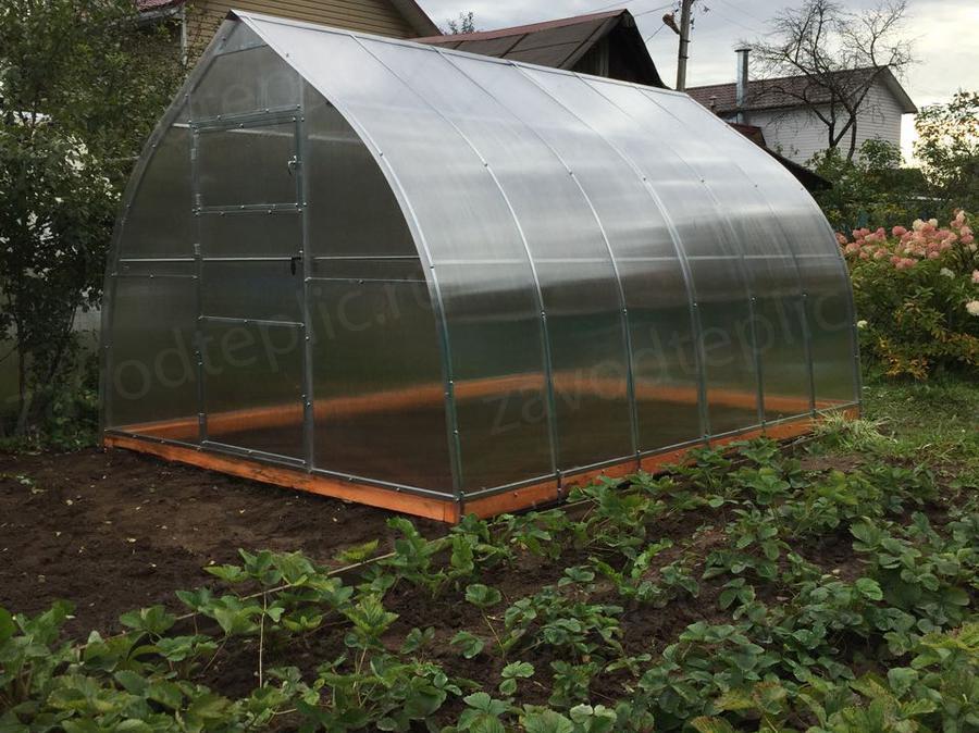 Дарья Александровна. г. Москва