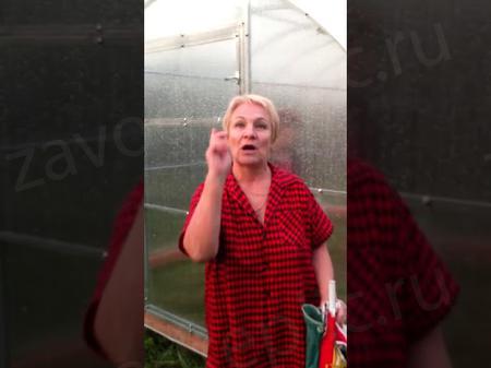 Людмила Евгеньевна. г. Ногинск