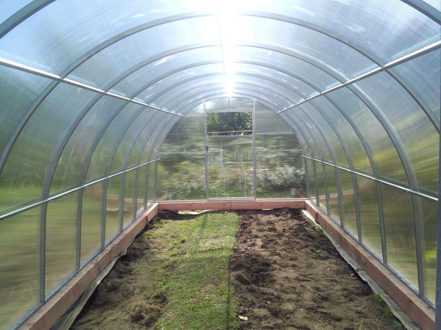 Ирина Николаевна. г. Тамбов. Село Горелое