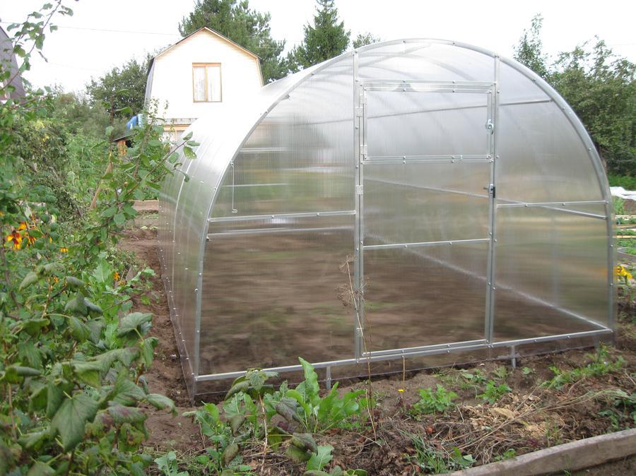 Надежда Валентиновна, с.о. Березка. г. Казань