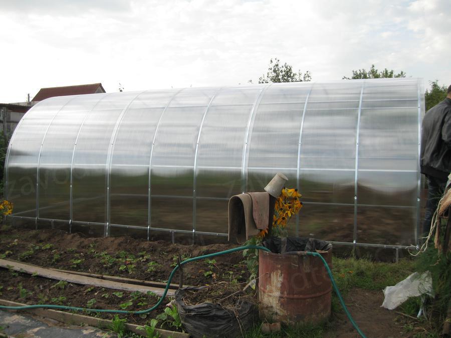 Надежда Валентиновна, с.о. Березка. г. Казань