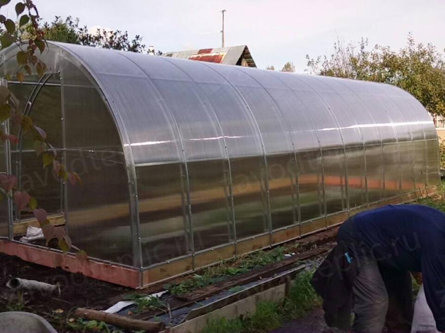 Владимир Николаевич, Лужский район, Ленинградской области