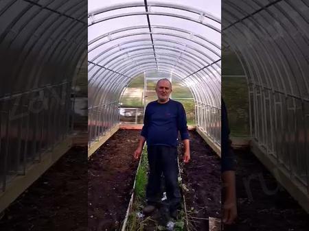 Владимир Николаевич, Лужский район, Ленинградской области