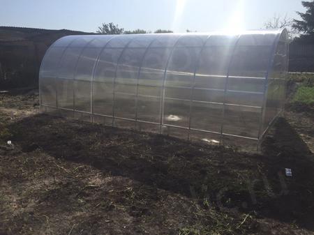 Ольга Евгеньевна