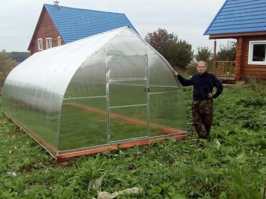 Галина Владимировна. Тульская обл. Алексинский р-н