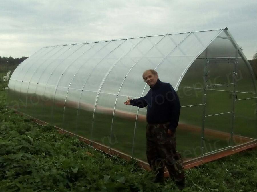 Галина Владимировна. Тульская обл. Алексинский р-н