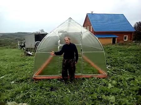  Галина Владимировна. Тульская обл. Алексинский р-н