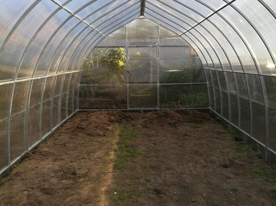 Раупов Рамиль Равилевич. г. Казань