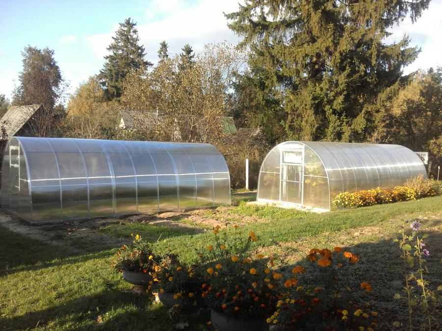 Николай Станиславович, дер. Малеевка, Клинский район