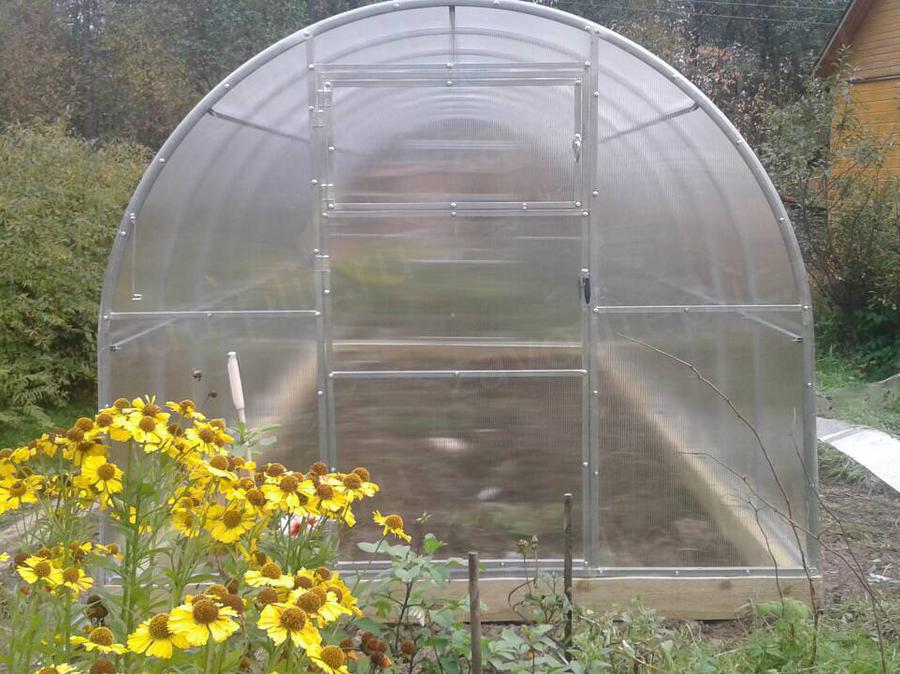 Нина Николаевна, п. Апраксин, Ленинградская область