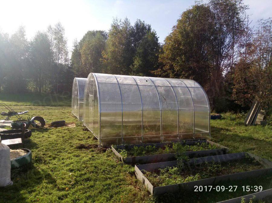 Вера Васильевна. г Псков (Гдовский район - д. Новые Дубяги)