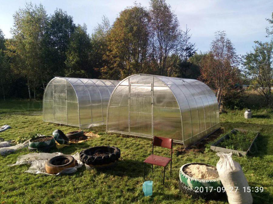 Вера Васильевна. г Псков (Гдовский район - д. Новые Дубяги)