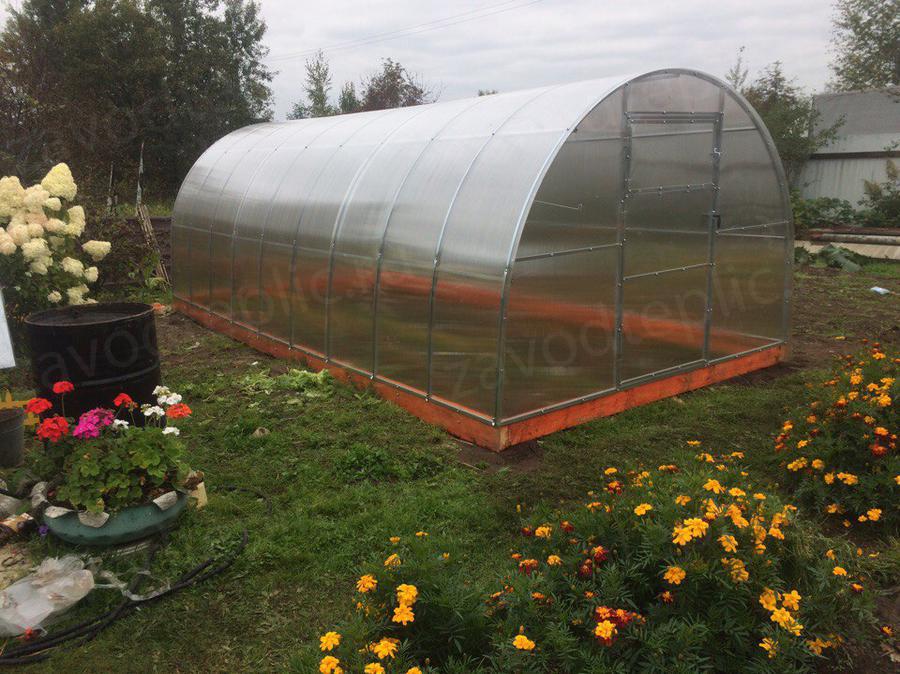 Галина Дмитриевна. г. Тверь