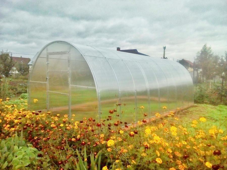 Ольга. г. Пермь, д. Кольцово