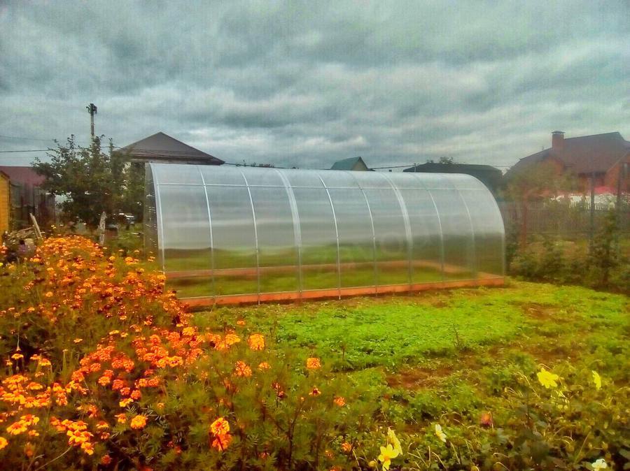 Ольга. г. Пермь, д. Кольцово