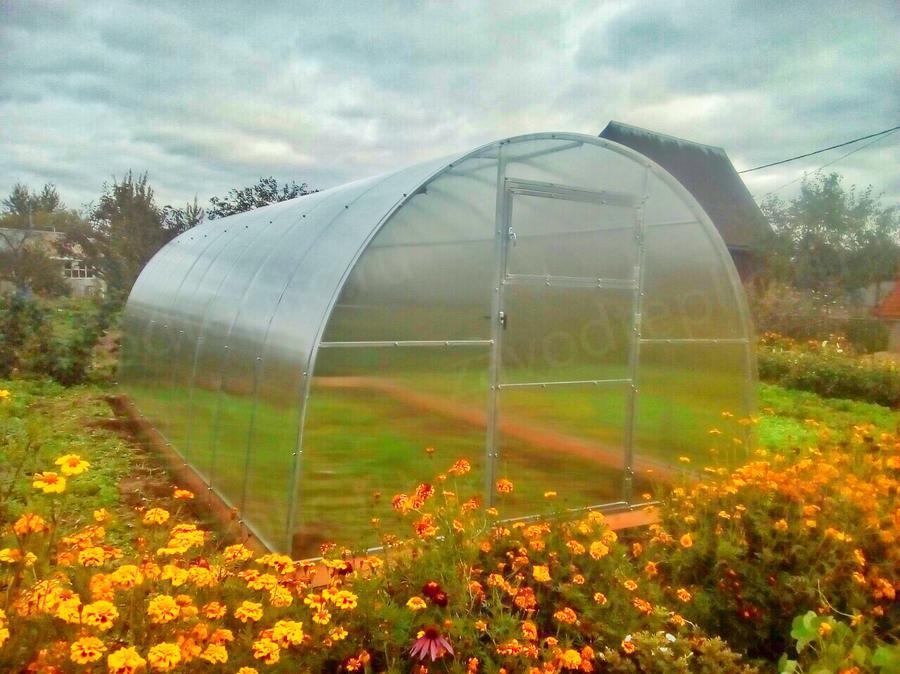 Ольга. г. Пермь, д. Кольцово