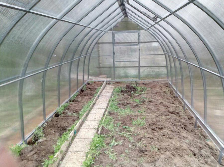 Сергей Павлович, СНТ Рыжково, г. Наро-Фоминск