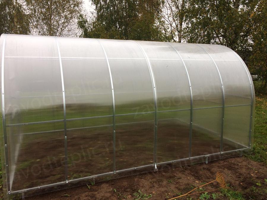 Галина. г. Великий Новгород