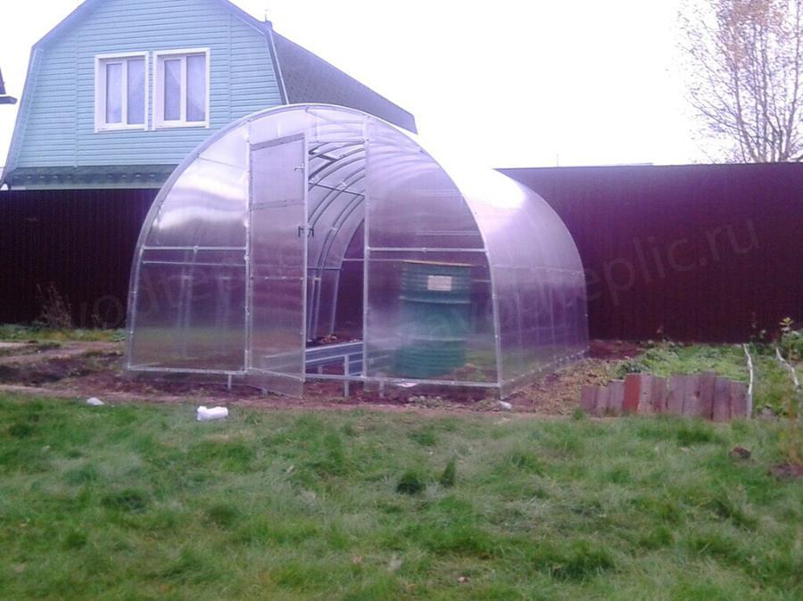 Раиса Алексеевна. г. Пермь