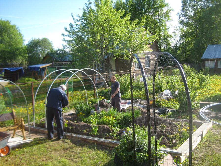 Ольга. г. Москва