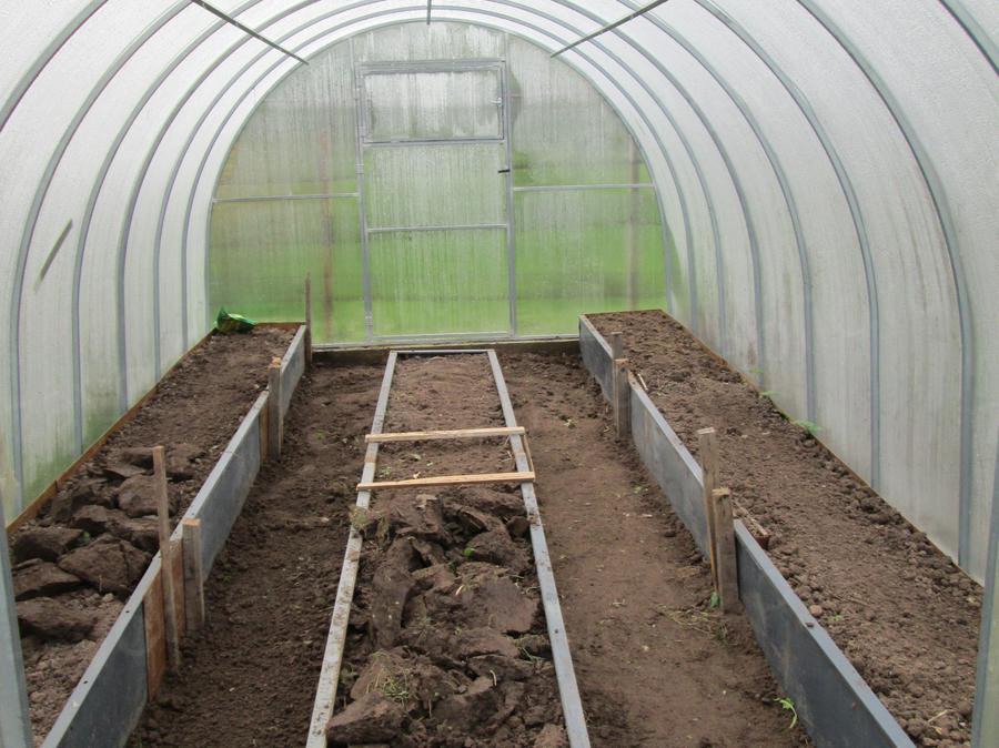 Ольга. г. Москва