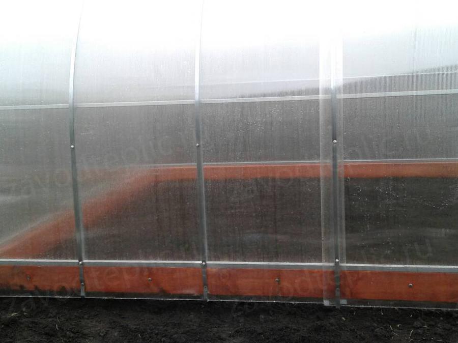 Мария Николаевна. г. ОРЕЛ- пос. Залегощь