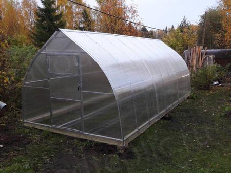 Ирина Николаевна. г. Петрозаводск