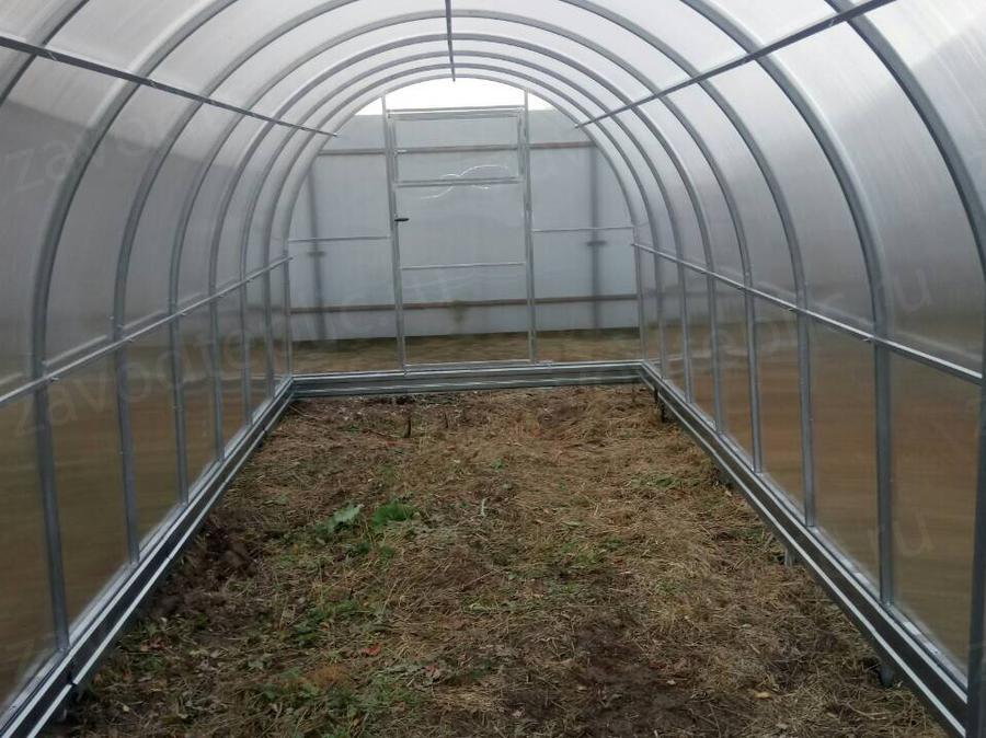 Елена. Ломоносовский р-н, Ленинградская область